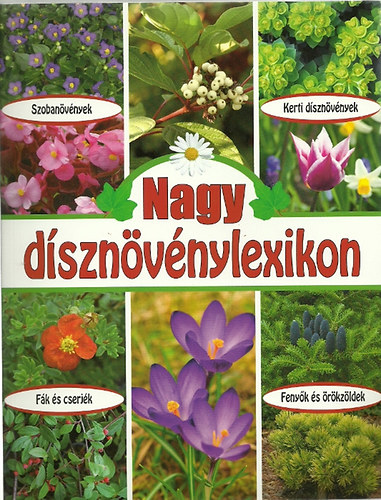 Nagy dsznvnylexikon