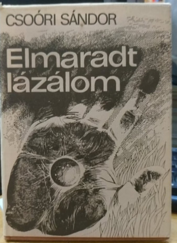 Cso�ri S�ndor - Elmaradt l�z�lom (Dedik�lt)