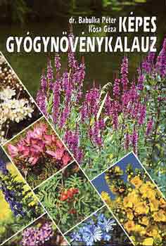Dr. Babulka Péter-Kósa Géza - Képes gyógynövénykalauz