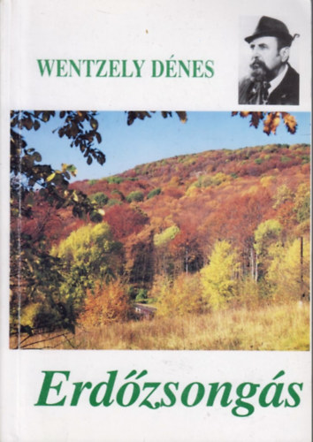 Wentzely Dénes - Erdőzsongás