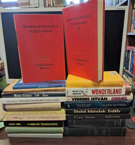 Angyalosy Eszter - Baranyai Ákos, Agócs Károly, Jósika Miklós, Méhes György, Verebes István, Magda Szabó, László Passuth, Cseh Tamás, Kodolányi János, Péter Zoltán, Zabos Géza, Tersá - 19 db regény KÖNYVMENTŐ AJÁNLAT: Wonderland, A fekete kristálygömb, Amit csak te adhatsz, Brüsszeli tárcalevelek és más írások, Gina, Ornél, A szemlélők, A szív kutyája, Utolsó bástyánk: Erdély, Fekete bársonyban, Hadiösvény,