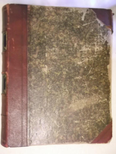 Az Osztrák-Magyar Monarchia Írásban és Képben IX. - Magyarország III.