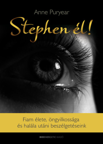 Anne Puryear - Stephen l!