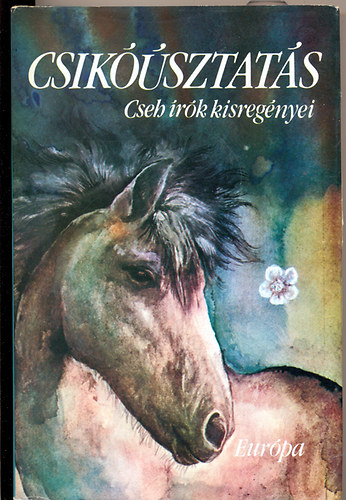 Kvesdi Jnos - Csiksztats (cseh rk kisregnyei)