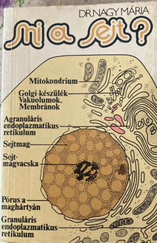 Dr. Nagy M�ria - Mi a sejt?