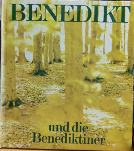 Paulus Maria Hauke - Benedikt und die Benediktiner Hinführung zu benediktinischem denken