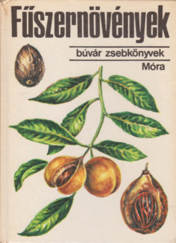 Jrayn-Regczy - Fszernvnyek (bvr zsebknyvek)