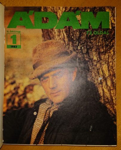 Az dm magazin VI., 1983-as  vfolyama egybektve