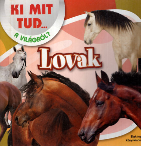 Simon Zsolt, Rkai Andrs - Lovak - Ki mit tud... a vilgrl? 2013/2