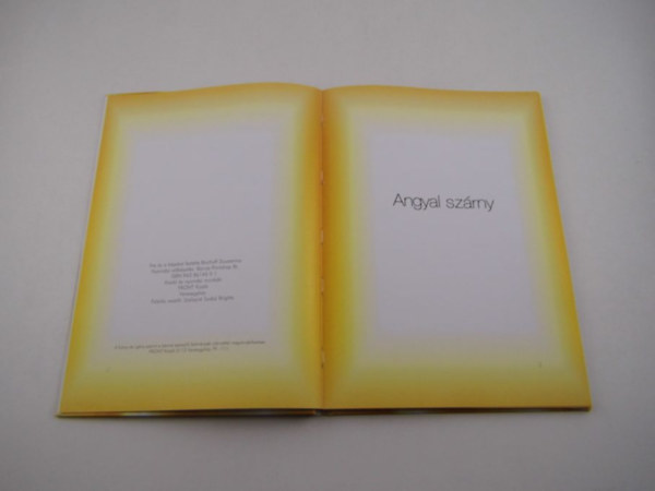 Bischoff Zsuzsa - Angyal szrny