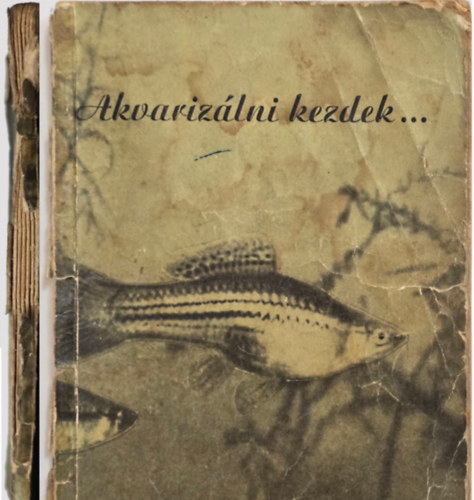 Hankovszky, Katona, Rosconi, Szombath - Akvarizálni kezdek...