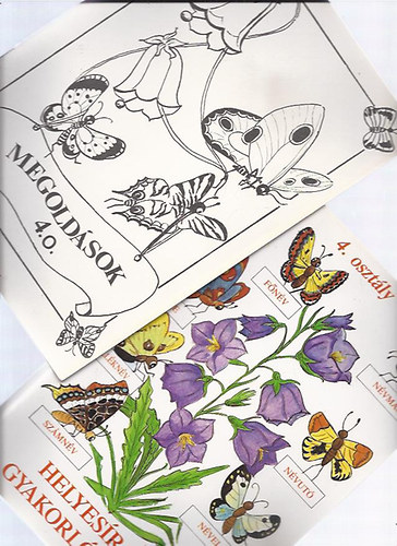 Eszterg�lyos Jen� (szerk.) - Helyes�r�si gyakorl�f�zet  4. oszt�ly + Megold�sok f�zet