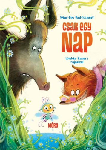 Baltscheit, Martin - Csak egy nap