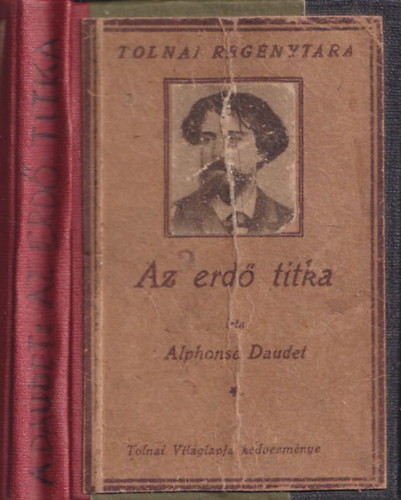 Alphonse Daudet - Az erdő titka