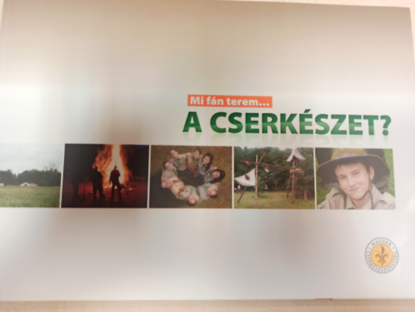 Mi fn terem... a cserkszet?