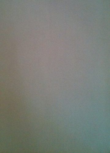 Móricz Virág - Napnyugaton jártam