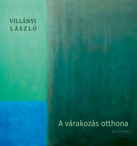 Vill�nyi L�szl� - A v�rakoz�s otthona