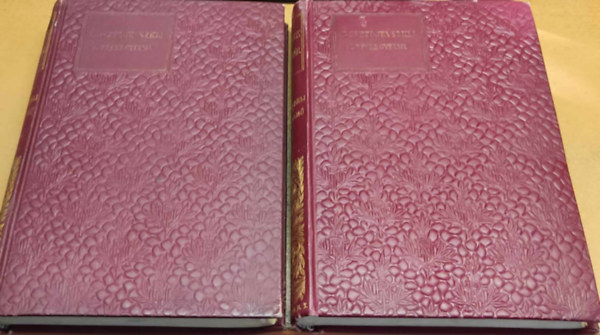 Fjodor Mihajlovics Dosztojevszkij - A félkegyelmű