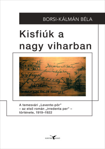 Borsi-Kálmán Béla - Kisfiúk a nagy viharban