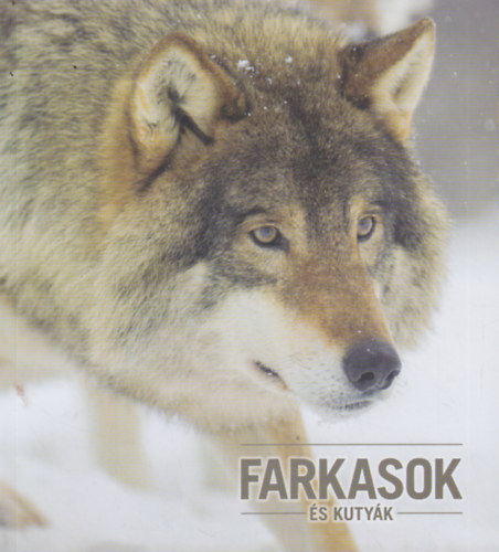 Kov�cs Zsolt - Farkasok �s kuty�k