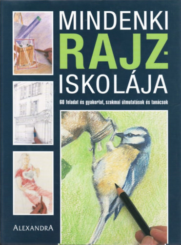 Mindenki rajziskolja.  60 feladat, gyakorlati leckk, szakmai tmutatsok s tancsok