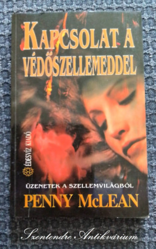 Penny McLean, Bsa Terz (szerk.), Csengery Judit (ford.) - Kapcsolat a Vdszellemeddel - zenetek a szellemvilgbl
