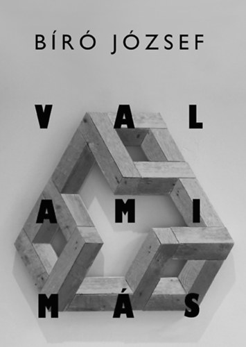Bíró József - Valami más