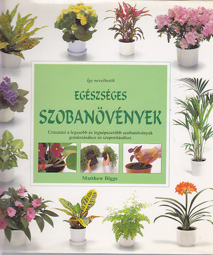 Matthew Biggs - Egszsges szobanvnyek