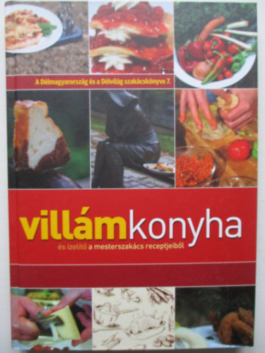 Lvay Gizella (szerk.) - Villmkonyha - A dlmagyarorszg s a Dlvilg szakcsknyve 7.