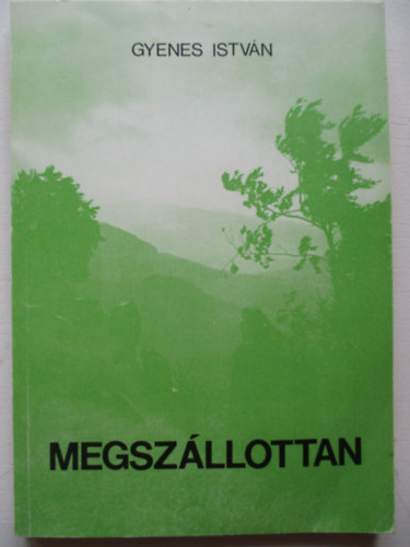 Gyenes István - Megszállottan