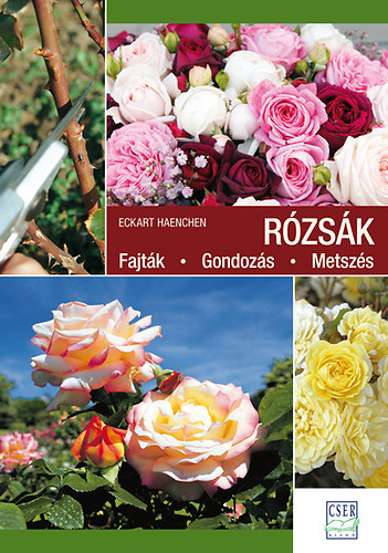 Eckart Haenchen - Rzsk