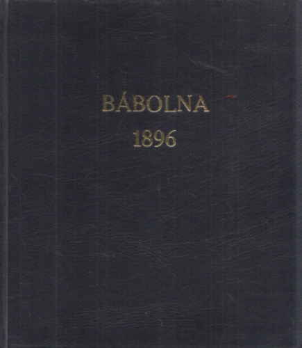 A bbolnai m. kir. llami mnes intzet lersa 1896. vben (reprint)
