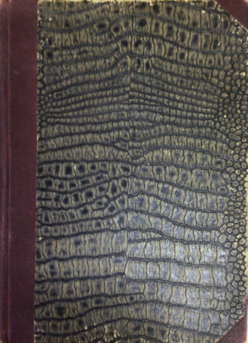 Fényes László - A társadalom és a nemi kérdés