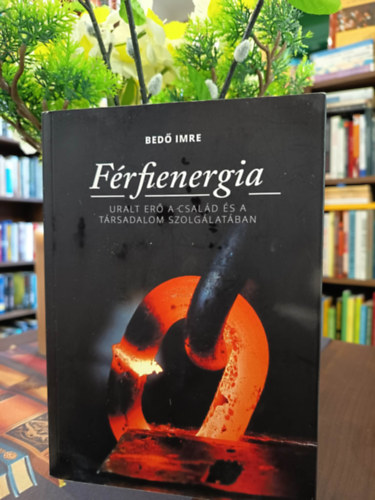 Bedő Imre - Férfienergia