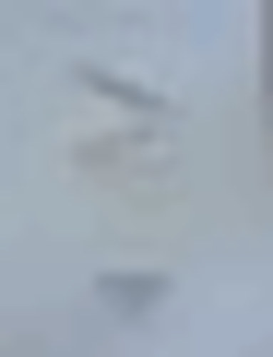 Péntek-Némethné - Német felvételi feladatgyűjtemény