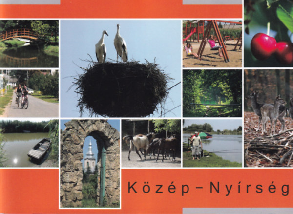 Közép-Nyírség