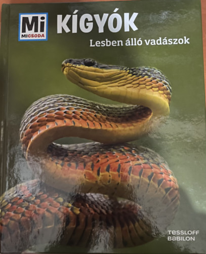 Nicolai Schirawski - Kígyók - Lesben álló vadászok (Mi micsoda)