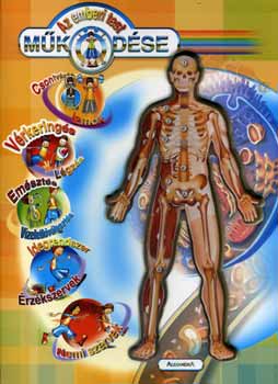 Steve Parker - Az emberi test működése