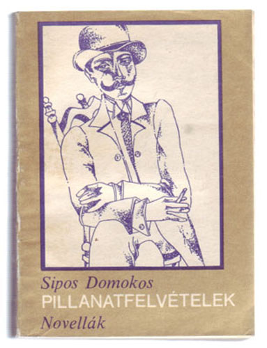 Sipos Domokos - Pillanatfelvtelek