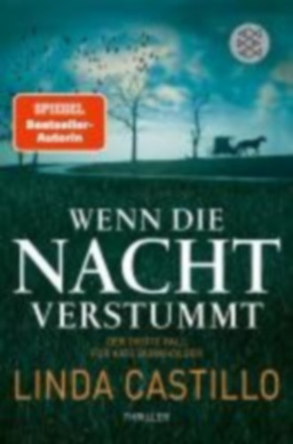 Linda Castillo - Wenn die Nacht verstummt
