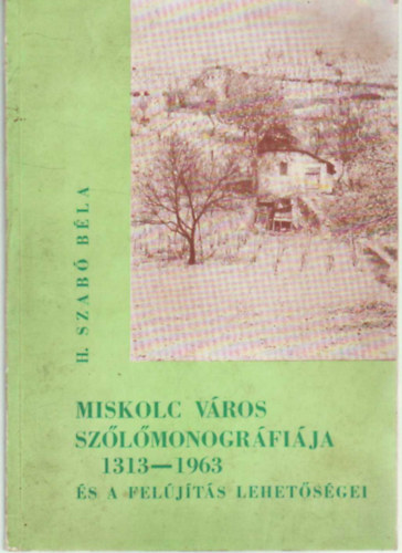 H. Szab� B�la - Miskolc v�ros sz�l�monogr�fi�ja 1313-1963 �s a fel�j�t�s lehet�s�gei