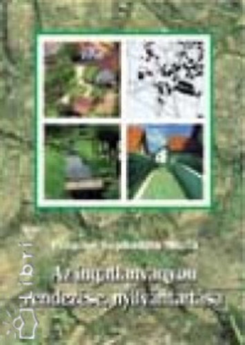 Plain Szabadits Mrta - Az ingatlanvagyon rendezse, nyilvntartsa