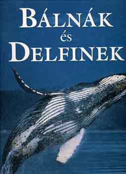 Cafiero, G.-Jahoda, M. - Blnk s delfinek