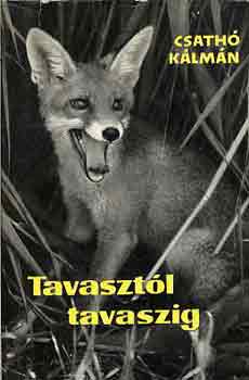 Csath Klmn - Tavasztl tavaszig