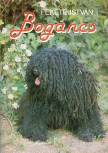 Fekete Istv�n - Bog�ncs
