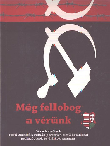 Dr. Salga Attila (szerk.) - Mg fellobog a vrnk - Elemzsek Pesti Jzsef A vulkn peremn cm ktetnek verseibl pedaggusok s dikok szmra