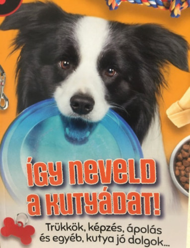Szerk: Sz�ke Csaba - �gy neveld a kuty�dat!