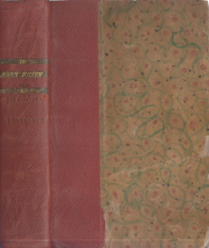 Nagy Jzsef - A filozfia trtnete