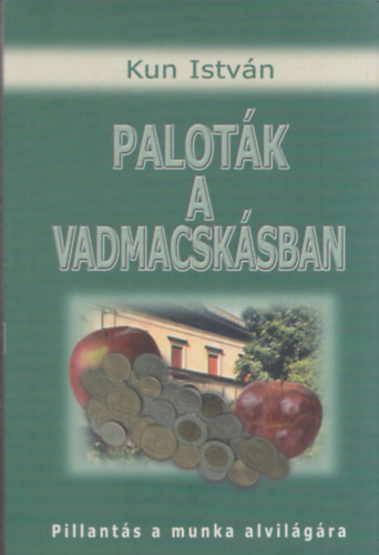 Kun István - Paloták a Vadmacskásban (Pillantás a munka alvilágára)