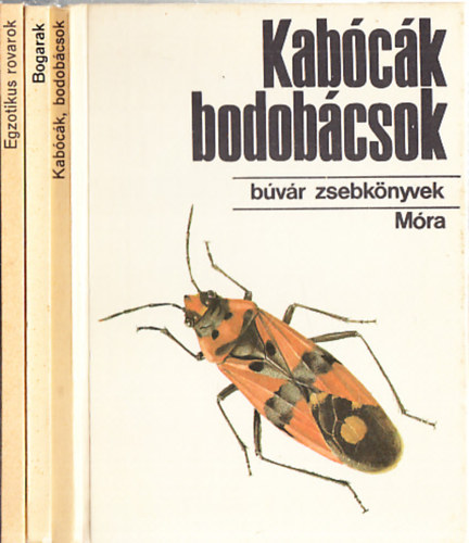 Búvár zsebkönyvek (2db.): Kabócák bodobácsok + Legyek, hangyák, méhek, darazsak